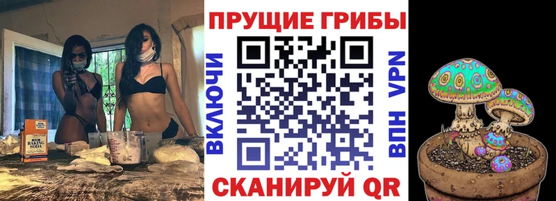 Галлюциногенные грибы прущие грибы  Верхотурье 